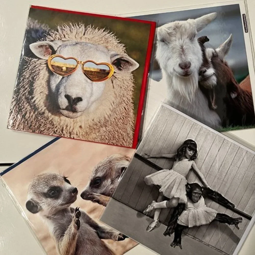Blank Greeting Cards‎ - Set of 4 - Animal Themed (new) (home/x)